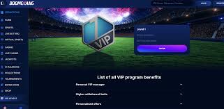 Supremo Casino 2025: Analisi delle Promozioni e Opportunita di Vincita